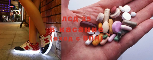 ПСИЛОЦИБИНОВЫЕ ГРИБЫ Алзамай
