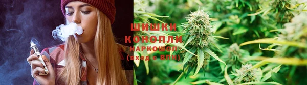 ешки Алексин