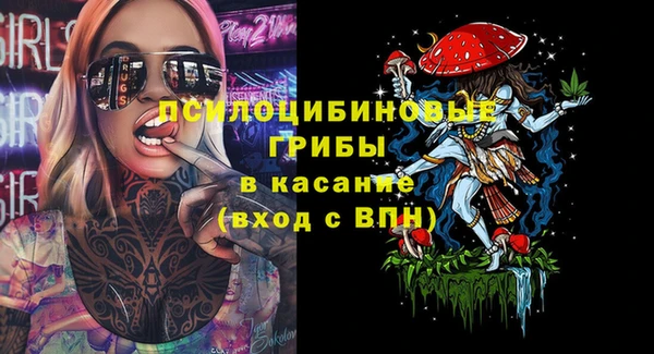 ешки Алексин