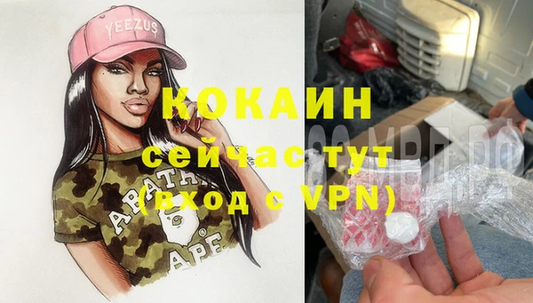 ешки Алексин