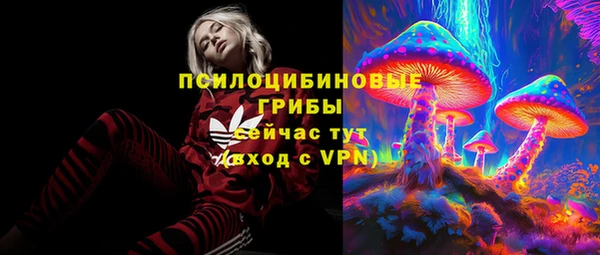 ПСИЛОЦИБИНОВЫЕ ГРИБЫ Алзамай