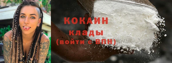 ПСИЛОЦИБИНОВЫЕ ГРИБЫ Алзамай