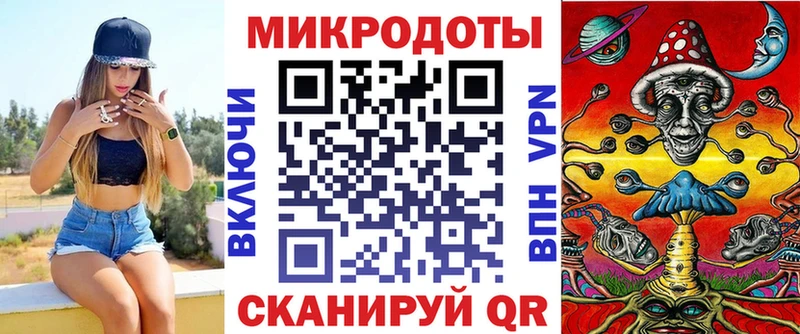 Галлюциногенные грибы Psilocybe Краснотурьинск