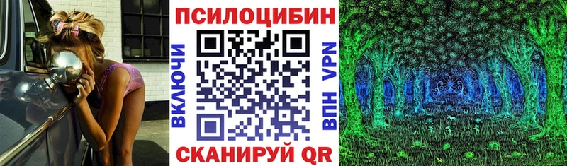 Псилоцибиновые грибы Psilocybe Краснотурьинск